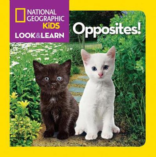 Cover image for Opposites!
