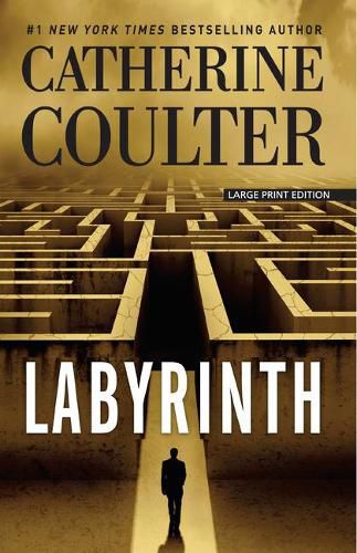 Cover image for Labyrinth