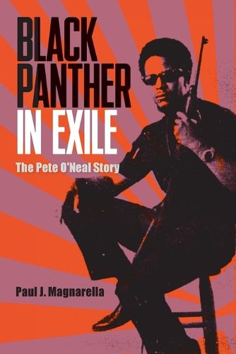 Cover image for Black Panther in Exile