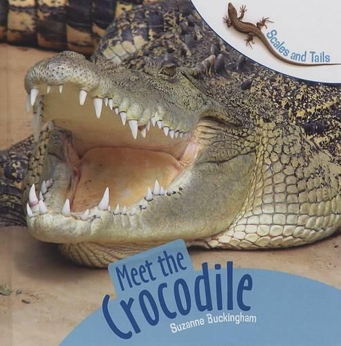 Cover image for Meet the Crocodile