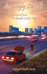 Cover image for Seemingly Stalled?: Lessons Learned from the Shoulder of Life's Highway