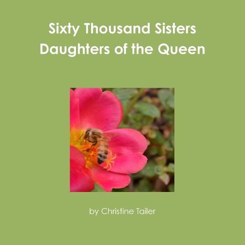 Cover image for Sixty Thousand Sisters Daughters of the Queen
