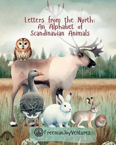 Cover image for Letters from the North