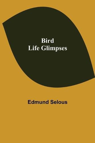 Cover image for Bird Life Glimpses