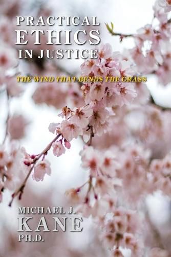 Cover image for Practical Ethics in Justice