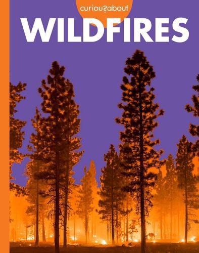 Cover image for Curious about Wildfires