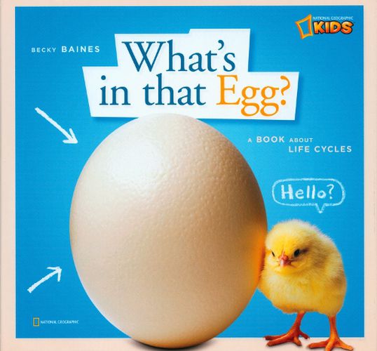 Cover image for What's in That Egg?