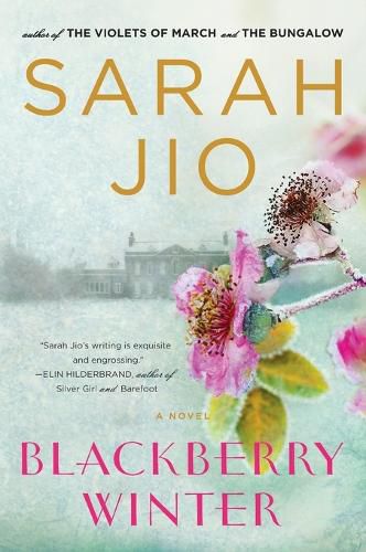 Cover image for Blackberry Winter: A Novel