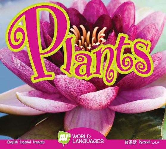 Cover image for Plants