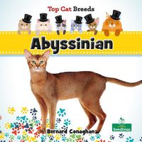 Cover image for Abyssinian
