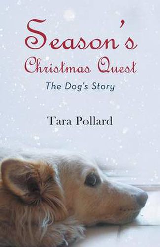Cover image for Season's Christmas Quest