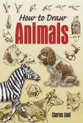 Cover image for How to Draw Animals