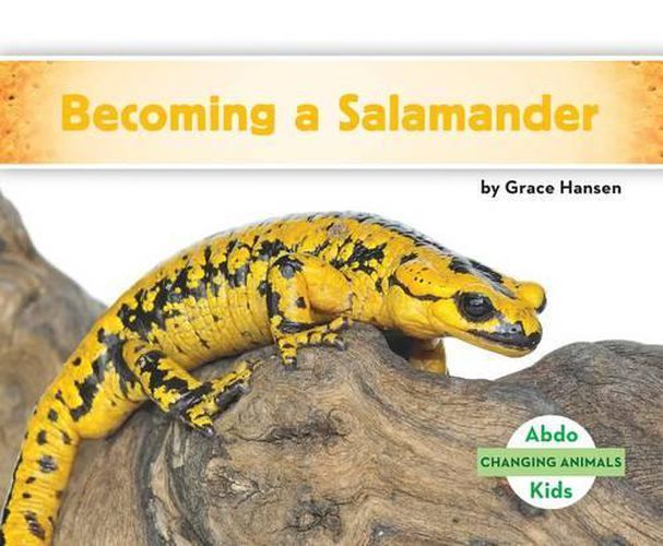 Cover image for Becoming a Salamander