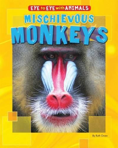 Cover image for Mischievous Monkeys