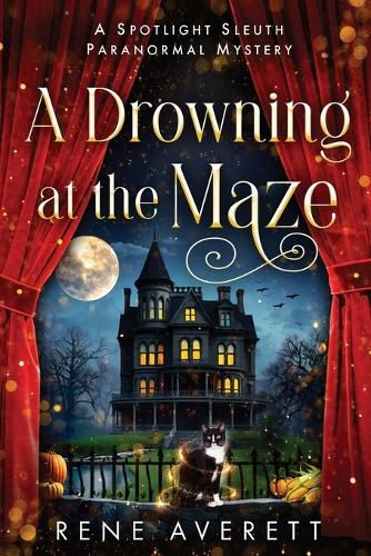 Cover image for A Drowning at the Maze