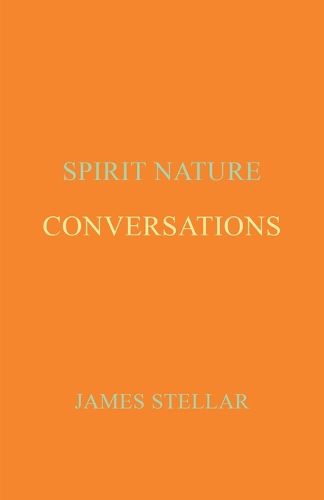 Cover image for Conversations