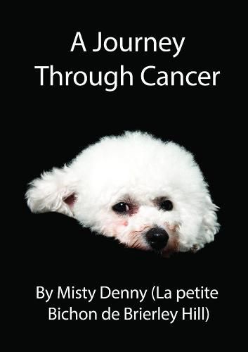 Cover image for A Journey Through Cancer