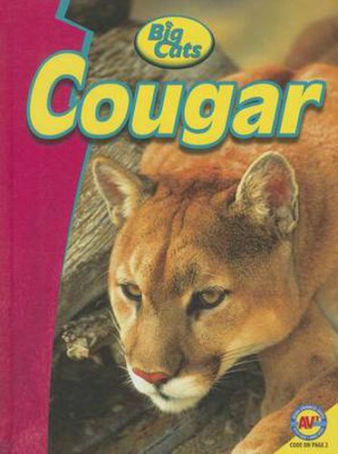 Cover image for Cougar