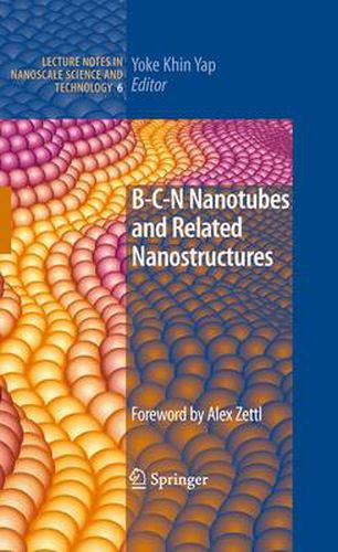 Cover image for B-C-N Nanotubes and Related Nanostructures