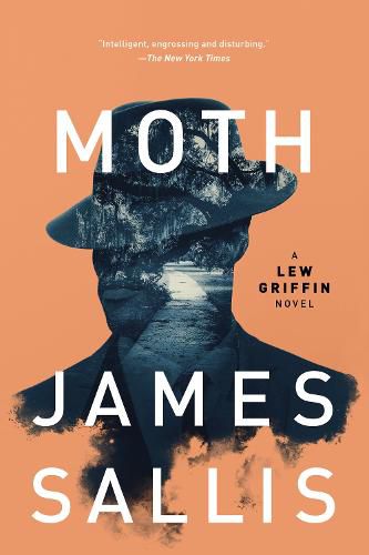 Cover image for Moth