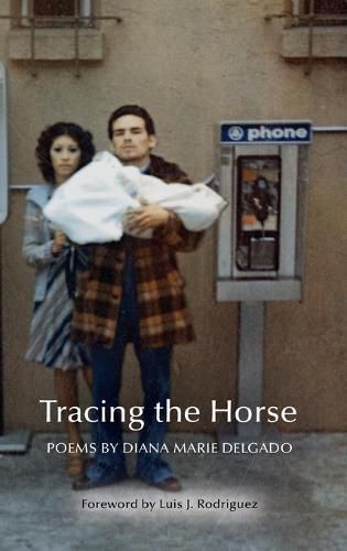 Cover image for Tracing the Horse