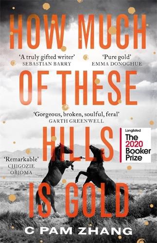 Cover image for How Much of These Hills is Gold