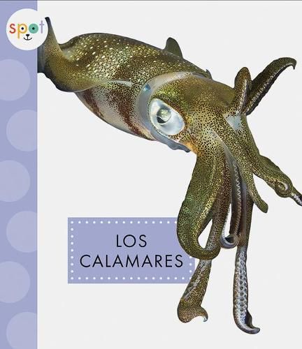 Cover image for Los Calamares