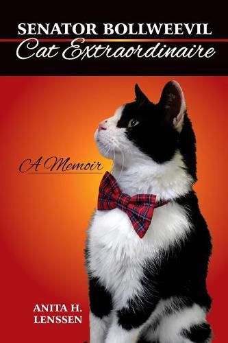 Cover image for Senator Bollweevil, Cat Extraordinaire