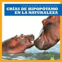 Cover image for Crias de Hipopotamo En La Naturaleza (Hippopotamus Calves in the Wild)