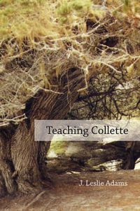 Cover image for Teaching Collette