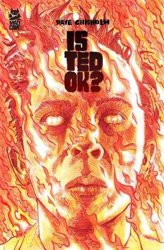 Cover image for Is Ted Ok?