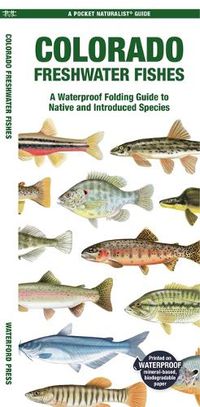 Cover image for Colorado Freshwater Fishes