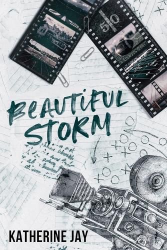 Cover image for Beautiful Storm