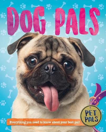 Cover image for Dog Pals