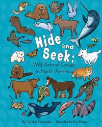 Cover image for Hide and Seek