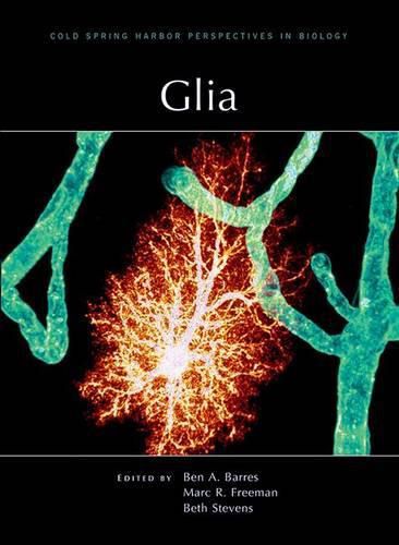 Cover image for Glia