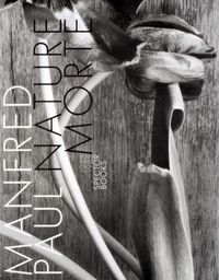 Cover image for Nature Morte. 1983 -1985