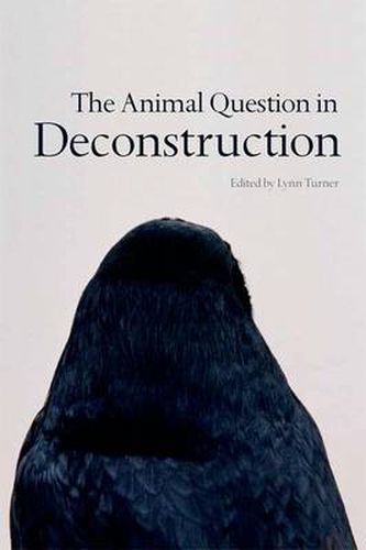 Cover image for The Animal Question in Deconstruction