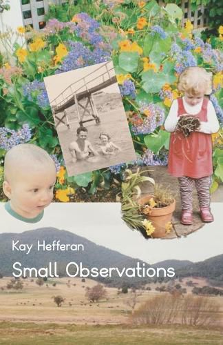 Cover image for Small Observations