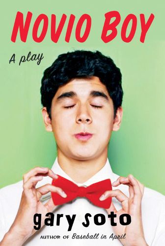 Cover image for Novio Boy: A Play