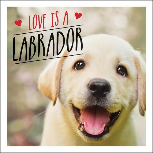 Cover image for Love is a Labrador: A Lab-Tastic Celebration of the World's Favourite Dog
