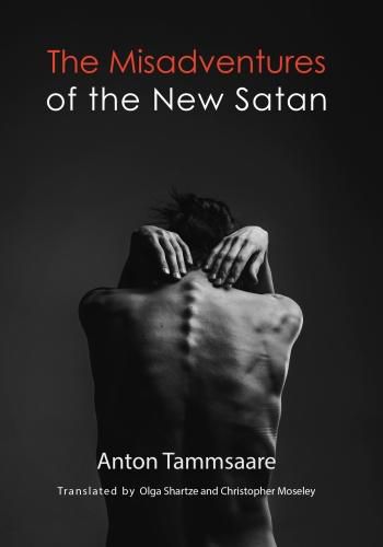 Cover image for The Misadventures of the New Satan