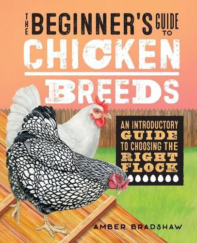 Cover image for The Beginner's Guide to Chicken Breeds: An Introductory Guide to Choosing the Right Flock