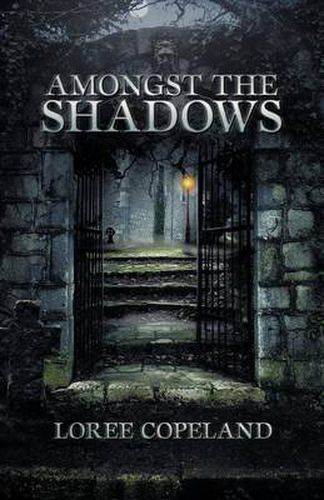 Cover image for Amongst the Shadows