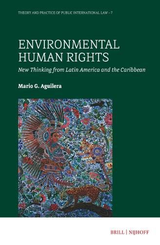 Cover image for Environmental Human Rights