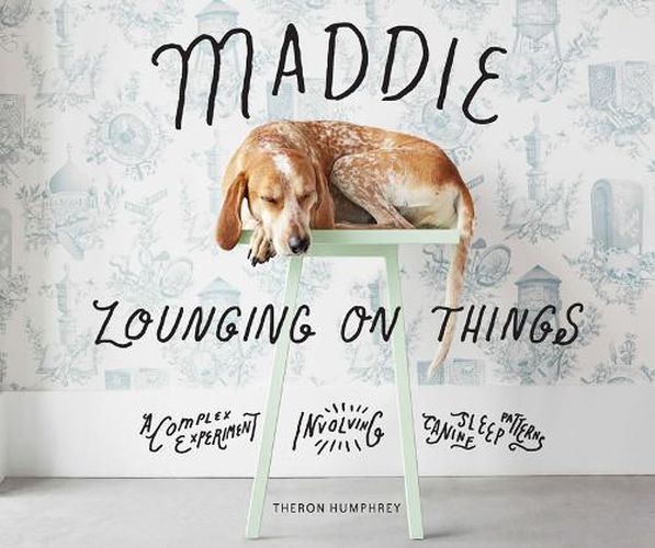 Cover image for Maddie Lounging On Things: A Complex Experiment Involving Canine Sleep Patterns