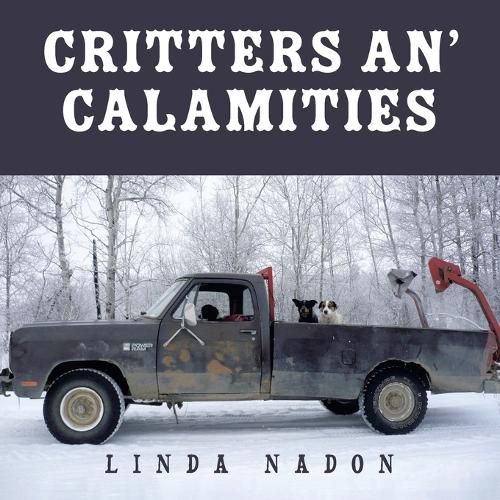 Cover image for Critters An' Calamities