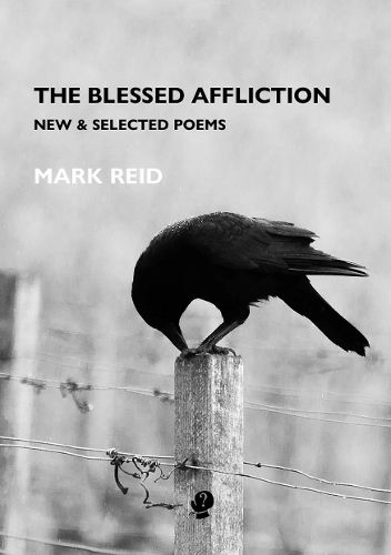 Cover image for The Blessed Affliction
