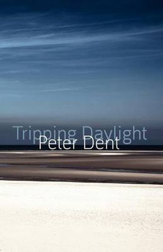 Cover image for Tripping Daylight