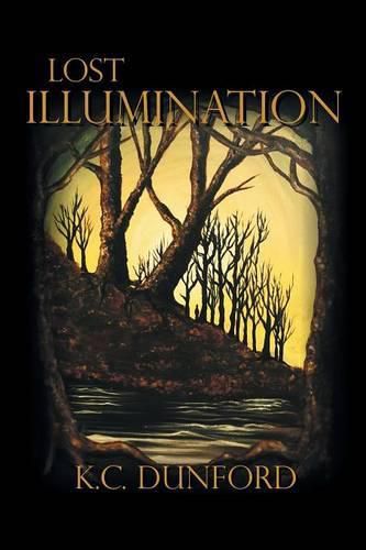 Cover image for Lost Illumination